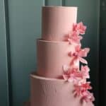 Birthday Cake #14