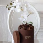 Orchid plant cake