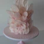 Birthday Cake #10