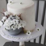 Birthday Cake #9