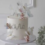 fairy butterfly cake
